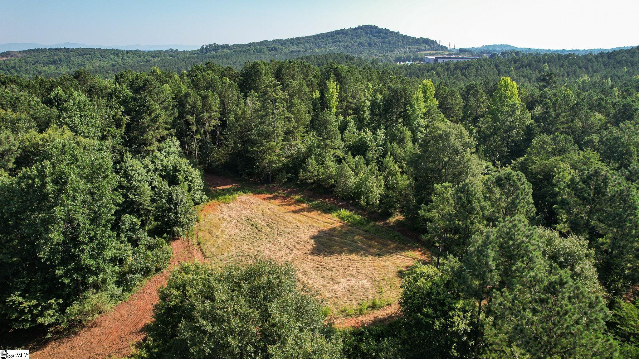 0 Woodbine Road Liberty, SC 29657 - Photo 4 of 33