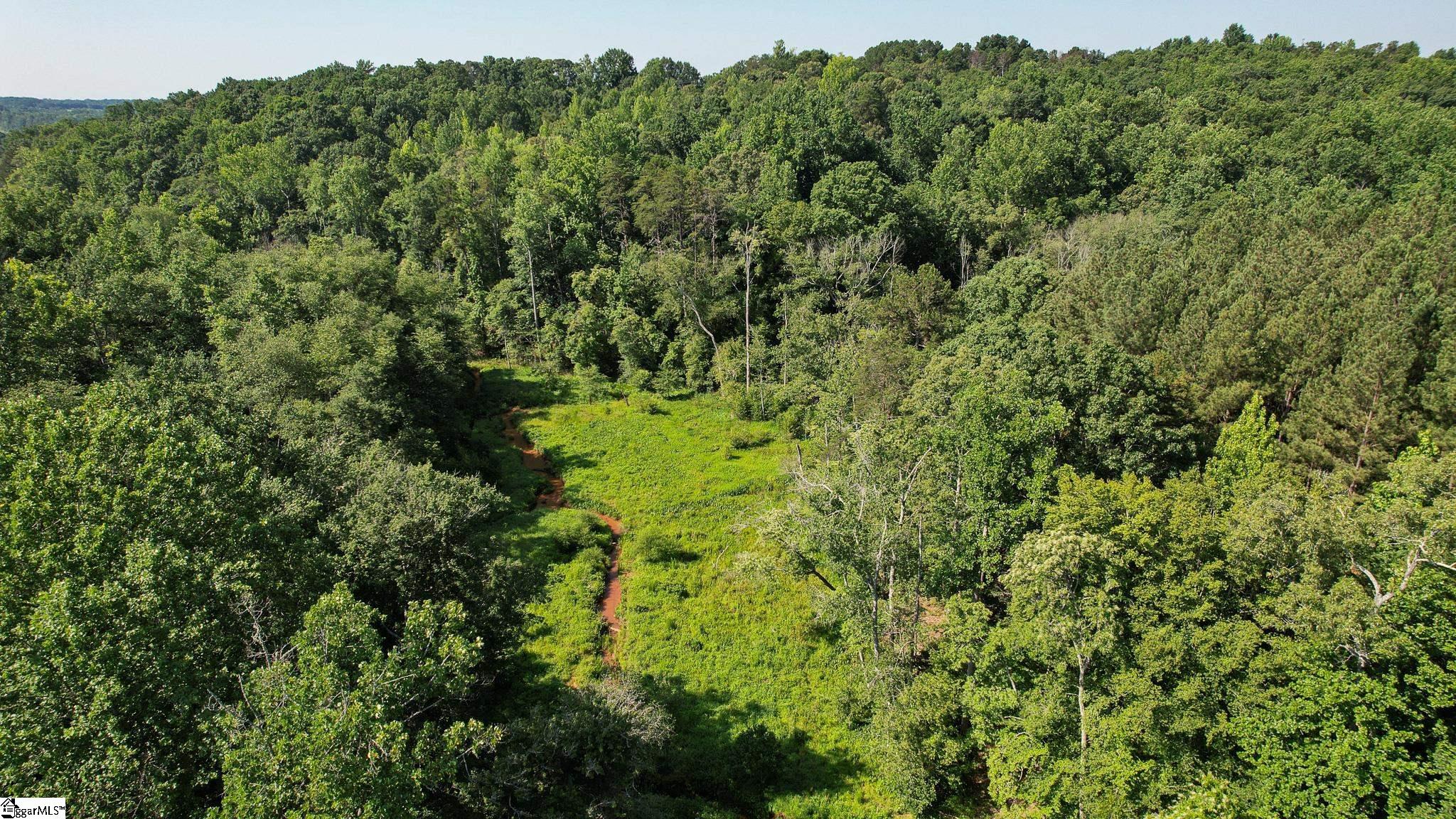 0 Woodbine Road Liberty, SC 29657 - Photo 6 of 33
