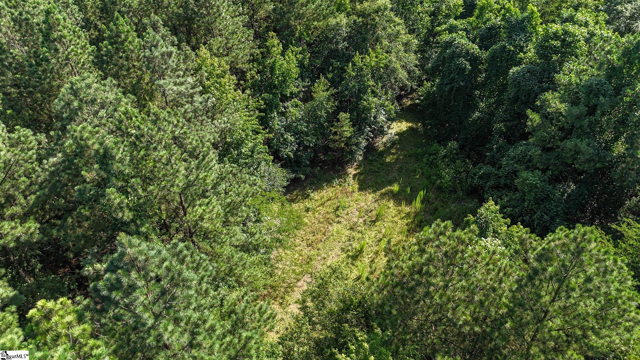 0 Woodbine Road Liberty, SC 29657 - Photo 7 of 33