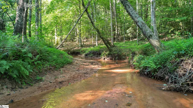 $1,976,000 | 0 Woodbine Road, Liberty, SC 29657