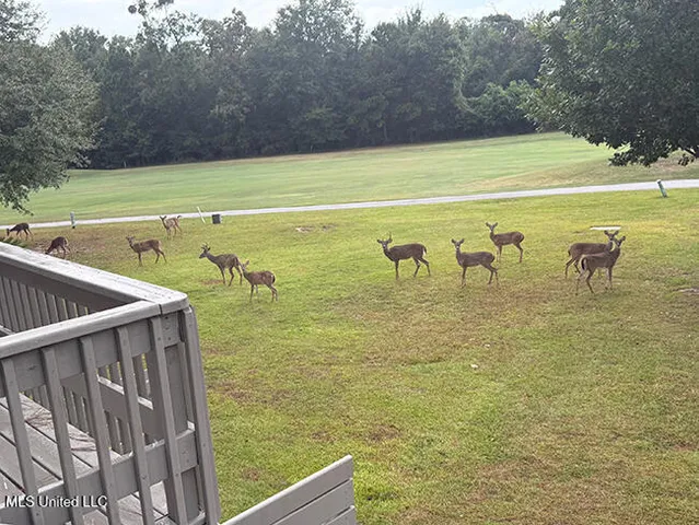 $239,000 | 222 Highpoint Drive, Diamondhead, MS 39525