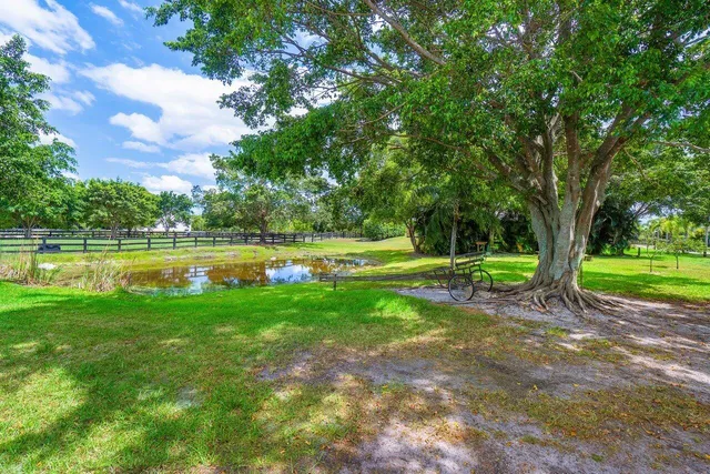 a view of a water pond with green field