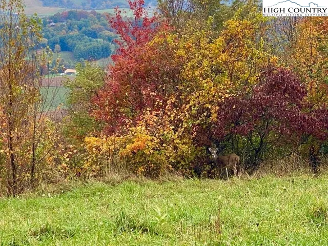 $42,500 | 14 Twin Oaks Mountain Boulevard, Sparta, NC 28675