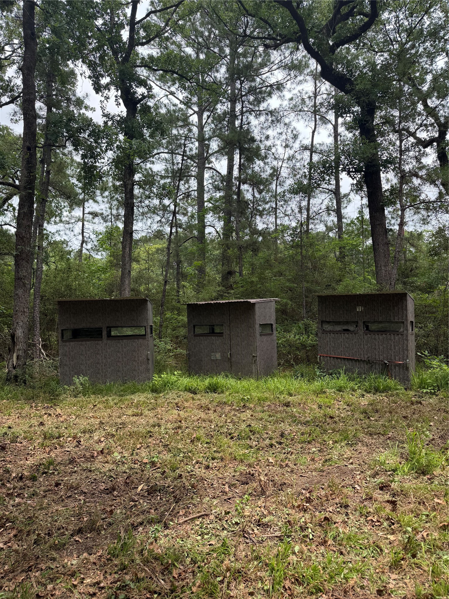 980 N Point North Huntsville, TX 77320 - Photo 8 of 45 Deer Hunting Blinds(3) to convey with tract.