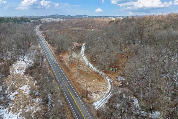 a view of a park with large trees