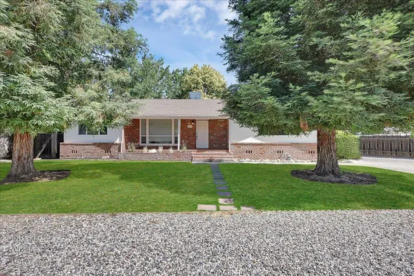 a front view of a house with a garden and a tree