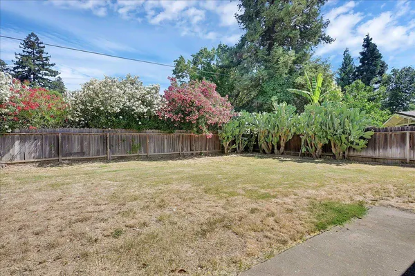 a view of a backyard with tree s