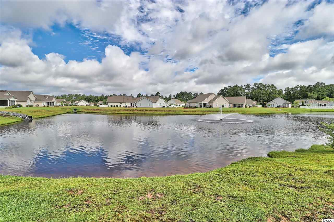 253 Southern Breezes Circle Murrells Inlet, SC 29576 - Photo 29 of 29 Gallery Image 29