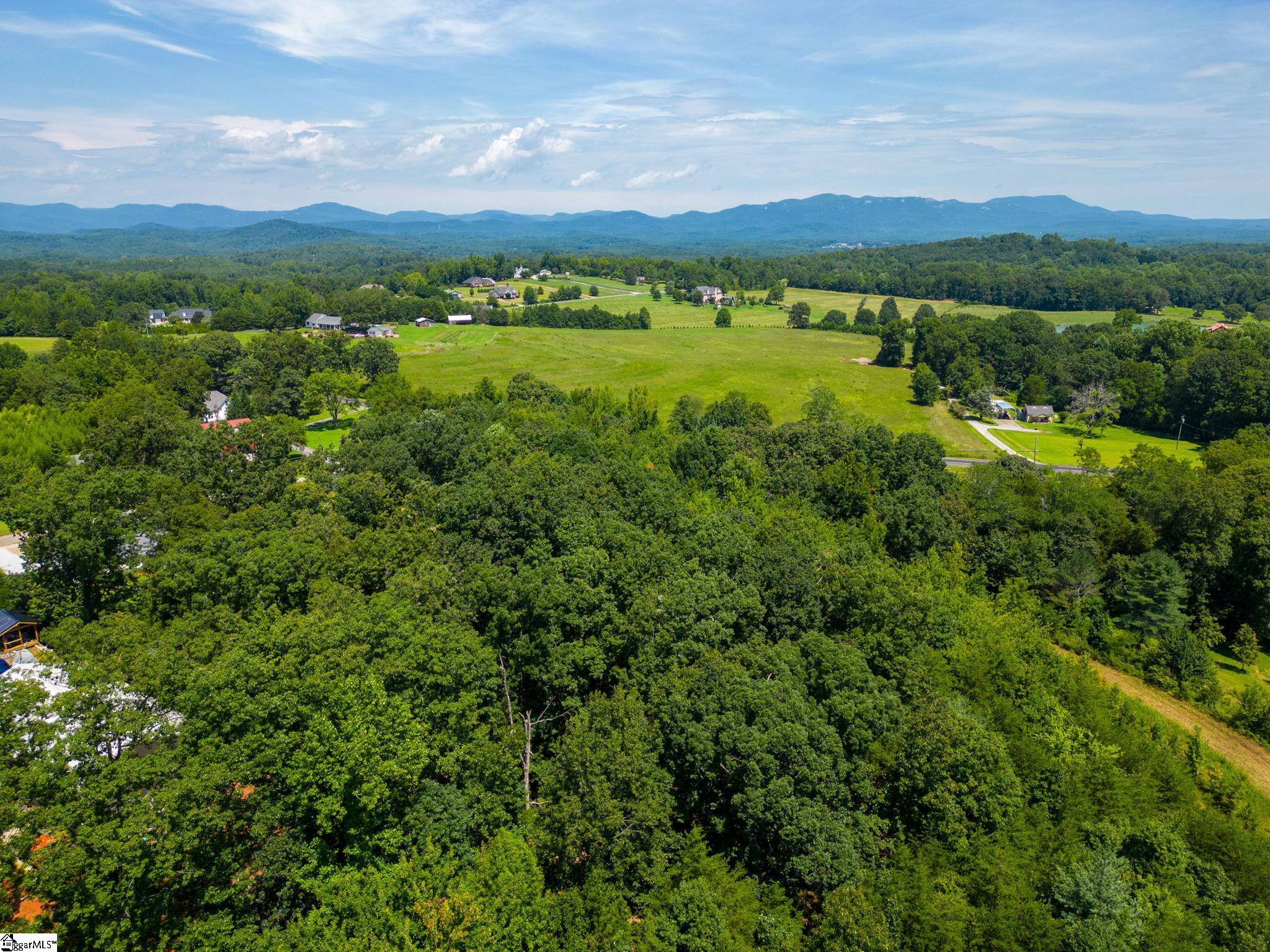0 Locust Hill Road Travelers Rest, SC 29690 - Photo 13 of 18