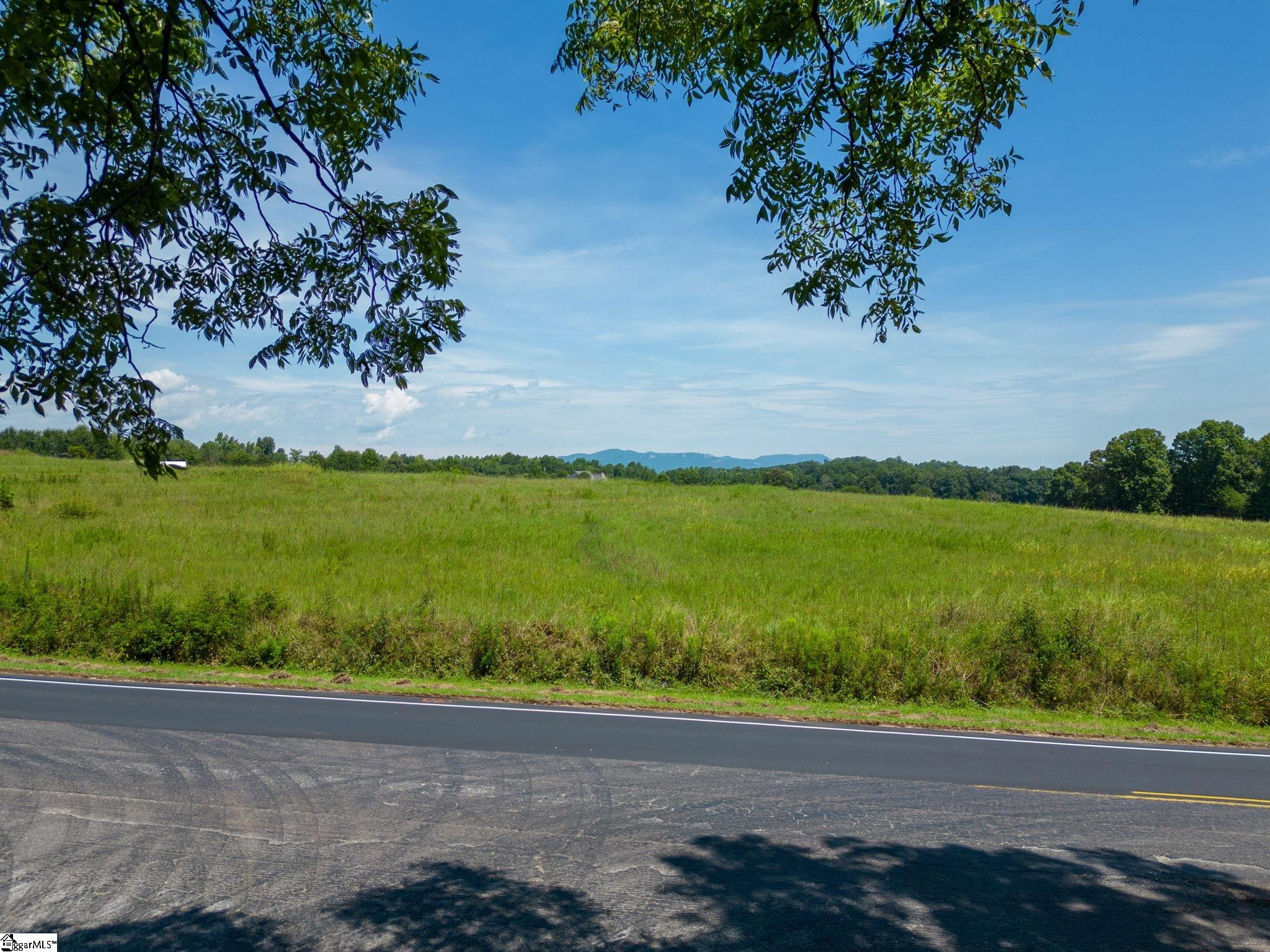0 Locust Hill Road Travelers Rest, SC 29690 - Photo 17 of 18
