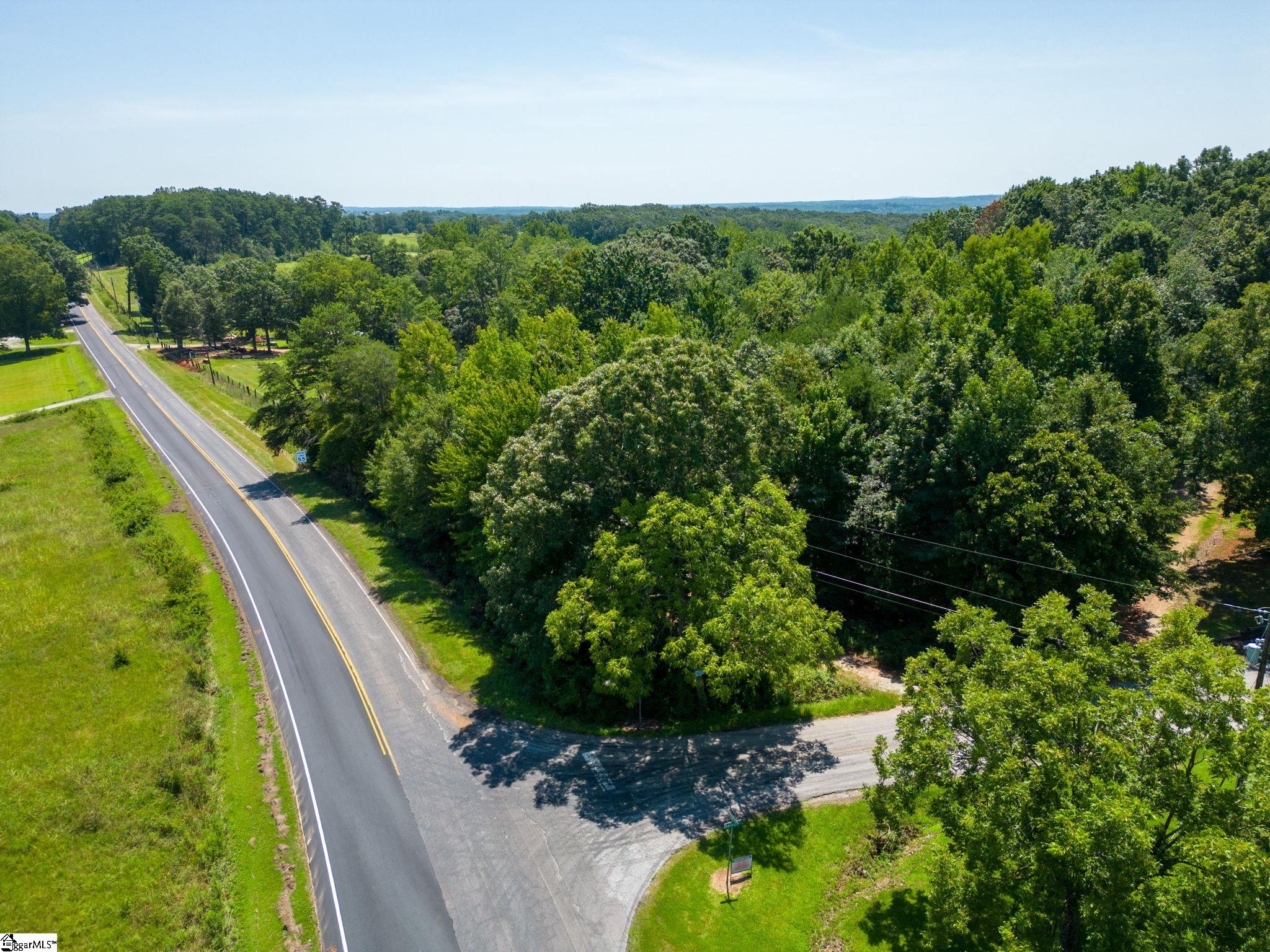 0 Locust Hill Road Travelers Rest, SC 29690 - Photo 3 of 18