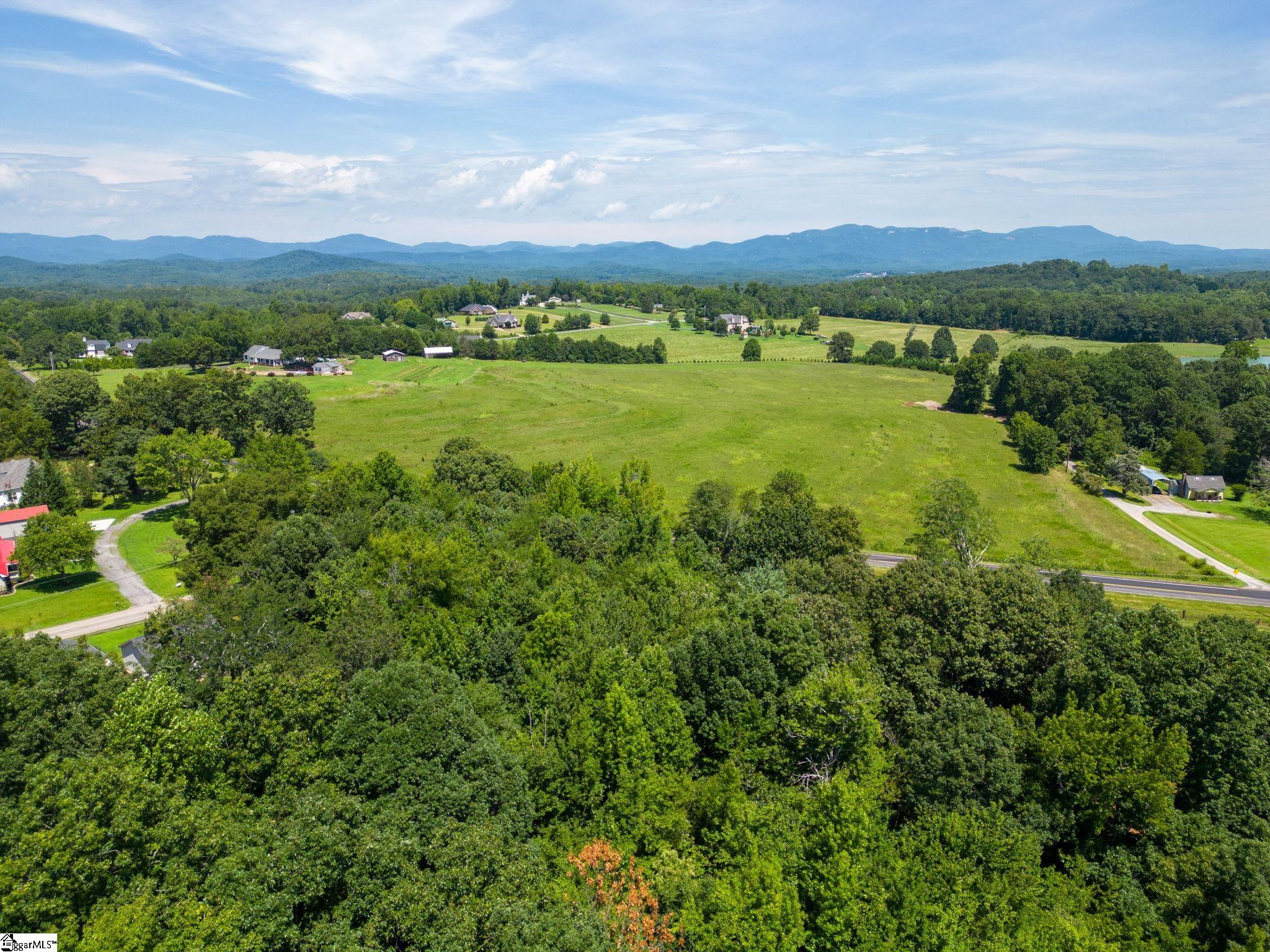 0 Locust Hill Road Travelers Rest, SC 29690 - Photo 6 of 18