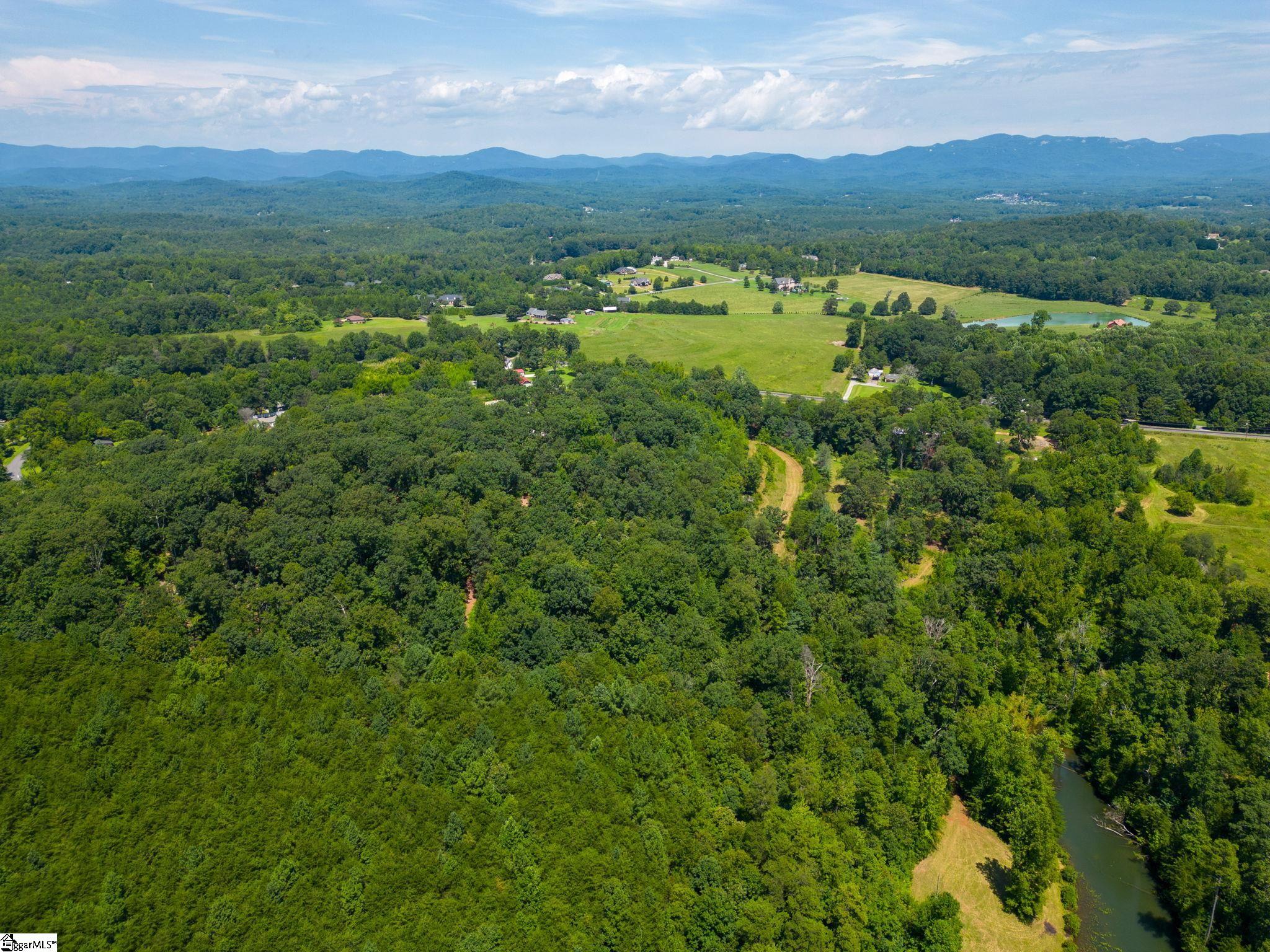 0 Locust Hill Road Travelers Rest, SC 29690 - Photo 9 of 18