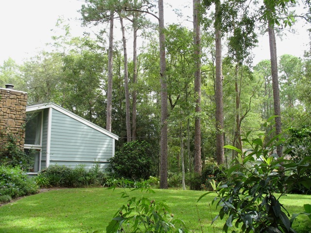 4389 Coleman Road Jacksonville, FL 32257 - Photo 20 of 30 FRONT YARD
