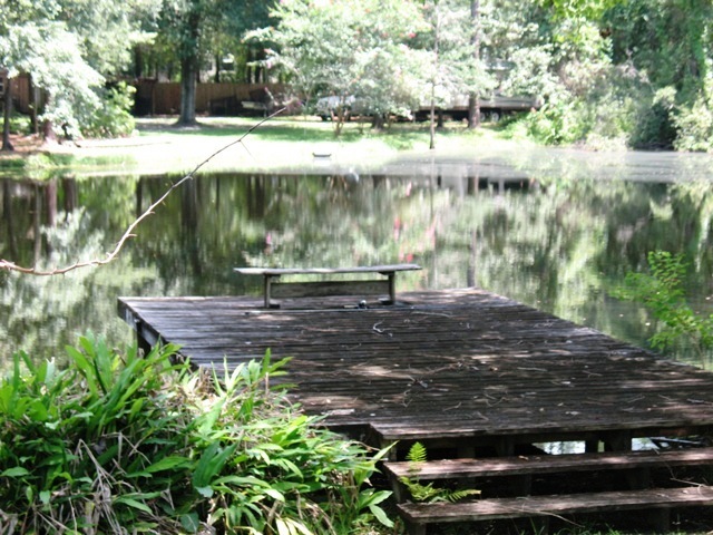 4389 Coleman Road Jacksonville, FL 32257 - Photo 23 of 30 BACK YARD