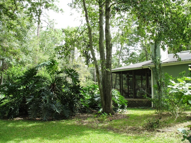 4389 Coleman Road Jacksonville, FL 32257 - Photo 25 of 30 YARD