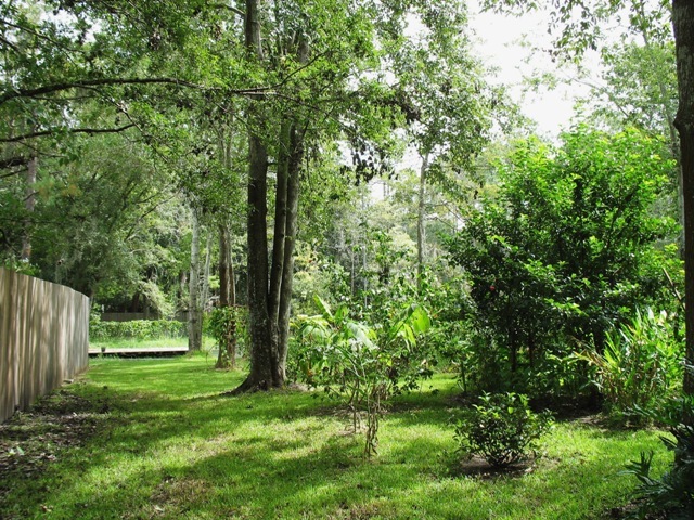 4389 Coleman Road Jacksonville, FL 32257 - Photo 26 of 30 YARD