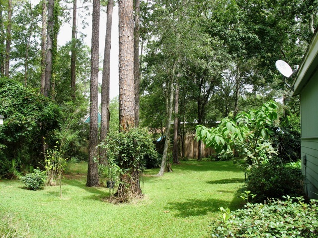 4389 Coleman Road Jacksonville, FL 32257 - Photo 29 of 30 YARD