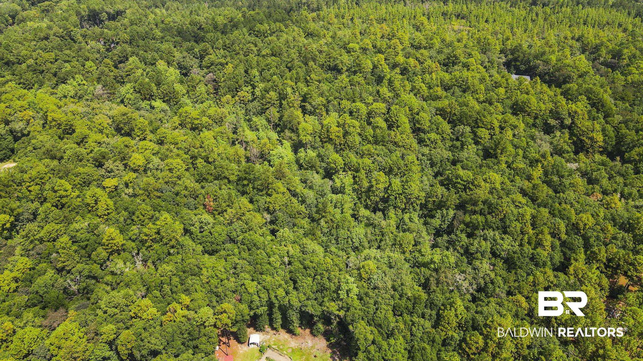 0 Mt.Pilgrim Road Eight Mile, AL 36613 - Photo 14 of 14 Drone / aerial view