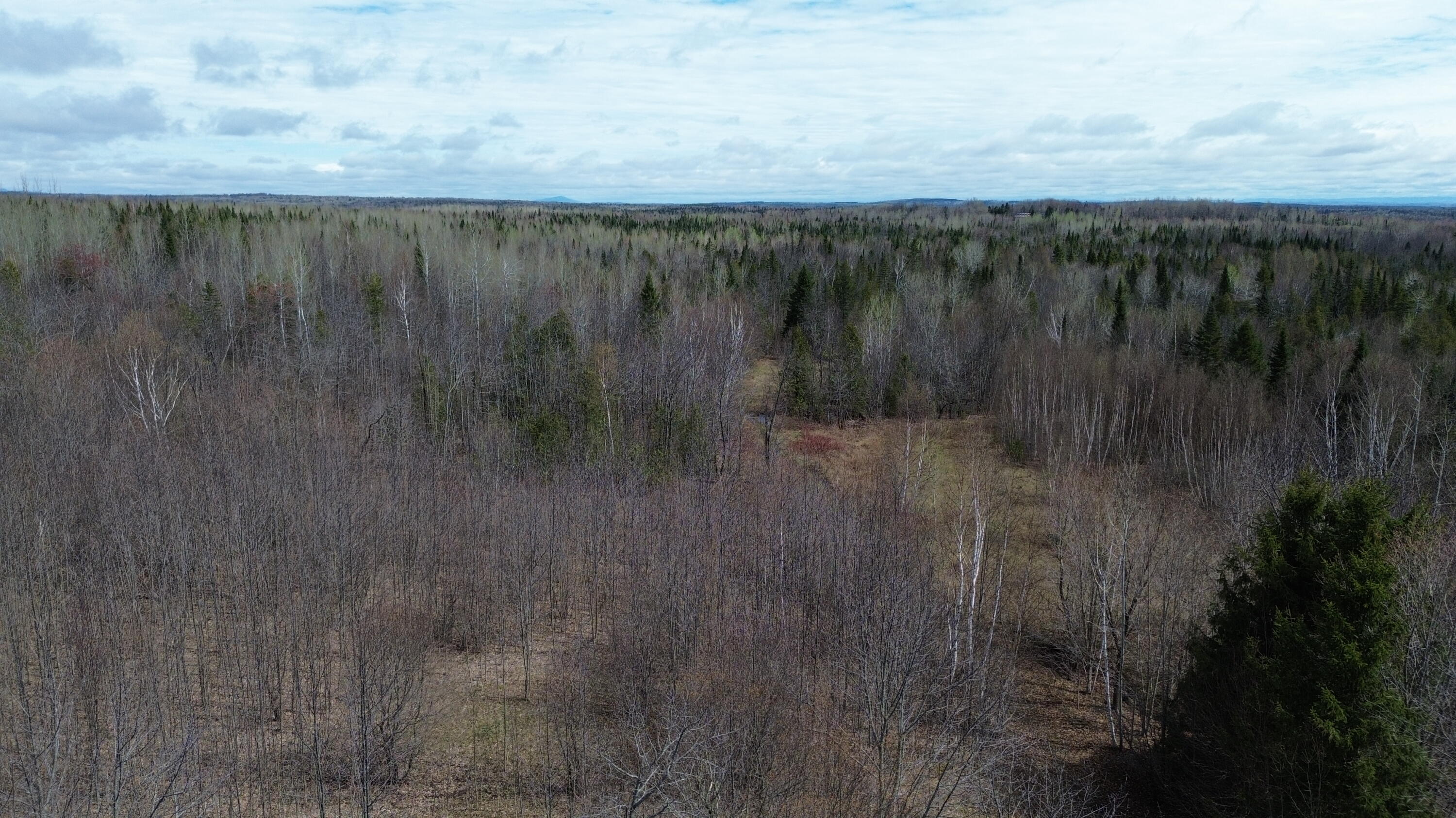 1063 Ludlow Road Ludlow, ME 04730 - Photo 8 of 36 DJI_0761