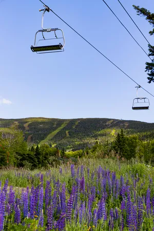 $259,000 | 21 Adams Wulf Lane, Sandy River Plt, ME 04970