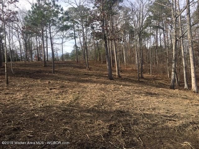 Lot 31 Edgewater Point Arley, AL 35541 - Photo 5 of 5 Gallery Image 5