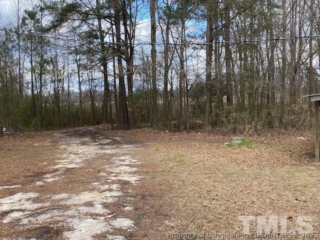 838 Jada Allen Road Dunn, NC 28334 - Photo 23 of 25 a view of outdoor space with trees