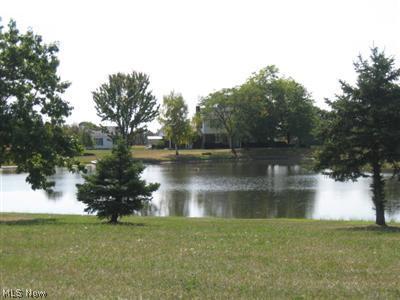 2190 Reimer Road Wadsworth, OH 44281 - Photo 20 of 24 Lake view