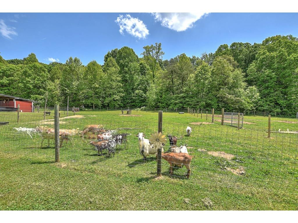 770 Oss Williams Road Limestone, TN 37681 - Photo 30 of 31 Photo 30