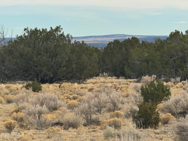 a view of a snow covered with snow