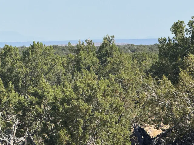 a view of a large building with a mountain in the background