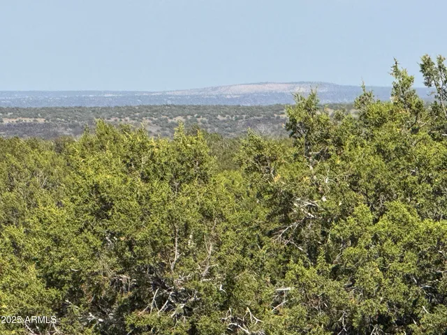 a view of a field with an ocean