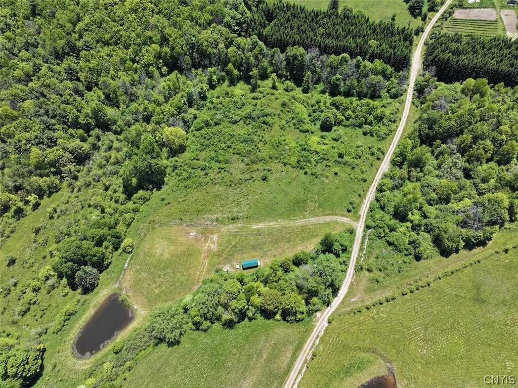 North Branch Road Friendship, NY 14739 - Photo 4 of 27