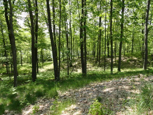 $125,000 | Lt18 Bear Lake Lane, Laona, WI 54541