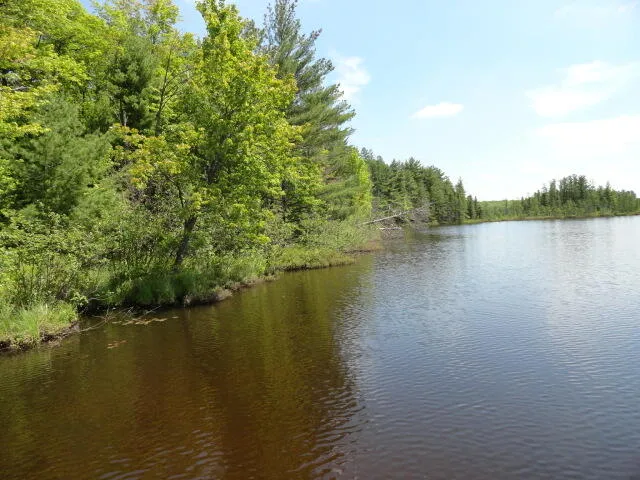 $125,000 | Lt18 Bear Lake Lane, Laona, WI 54541