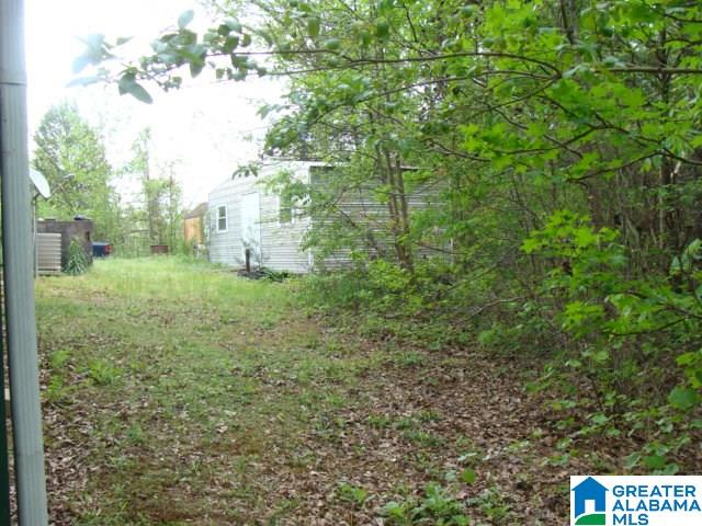 13556 Lock 17 Road Adger, AL 35006 - Photo 34 of 39