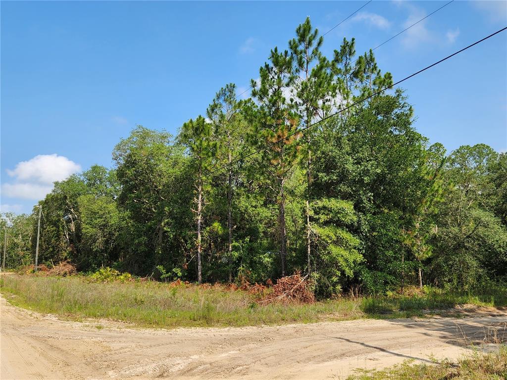 Dines Avenue Interlachen, FL 32148 - Photo 1 of 1 Corner Lot