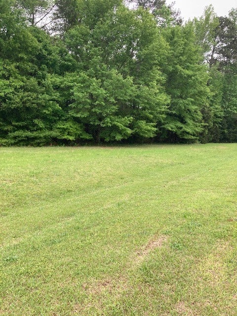 160 Plantation Road Auburn, AL 36832 - Photo 2 of 5 Gallery Image 2