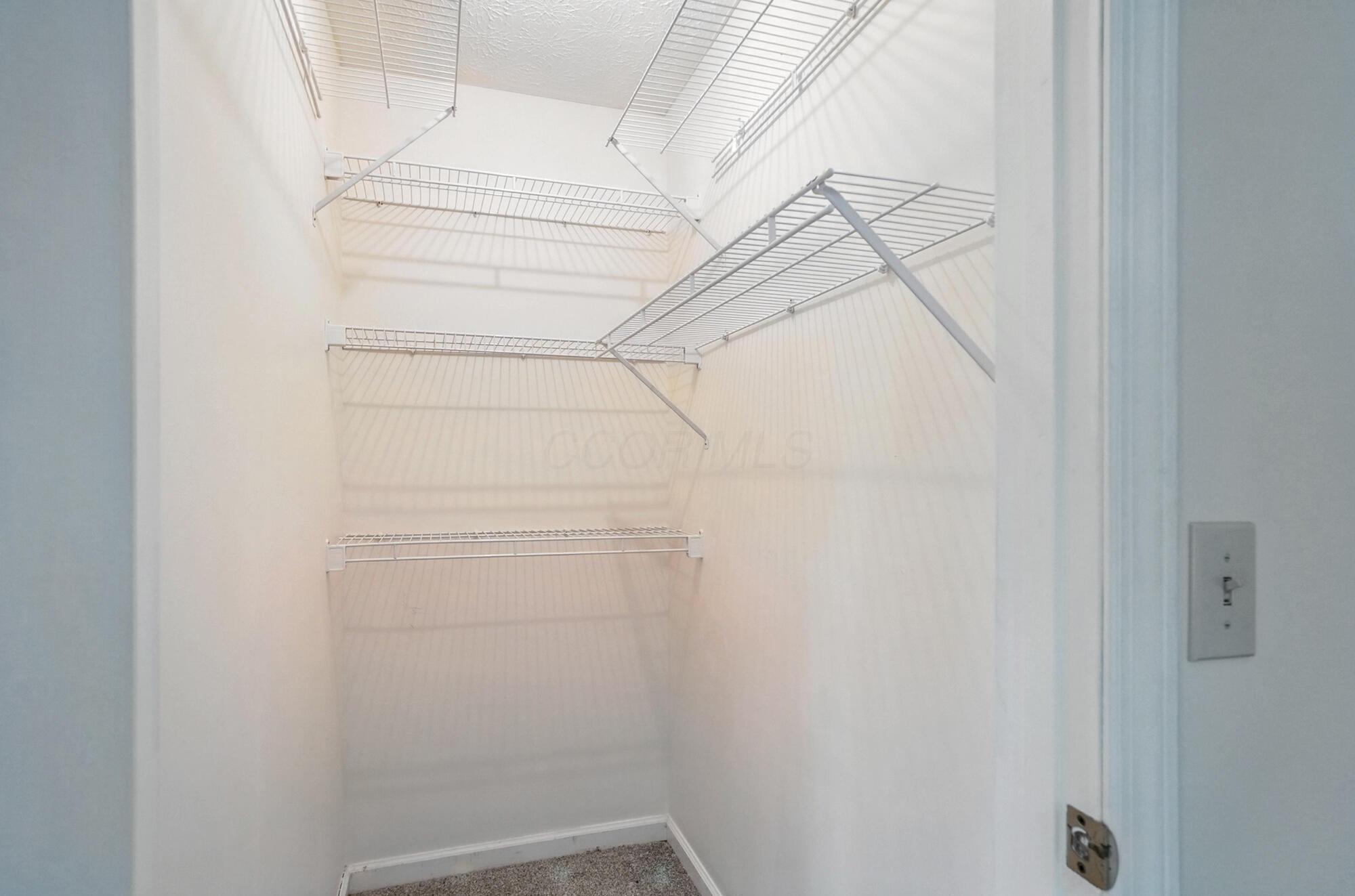 1355 Perry Road Cable, OH 43009 - Photo 30 of 55 Owner's walk in closet x2
