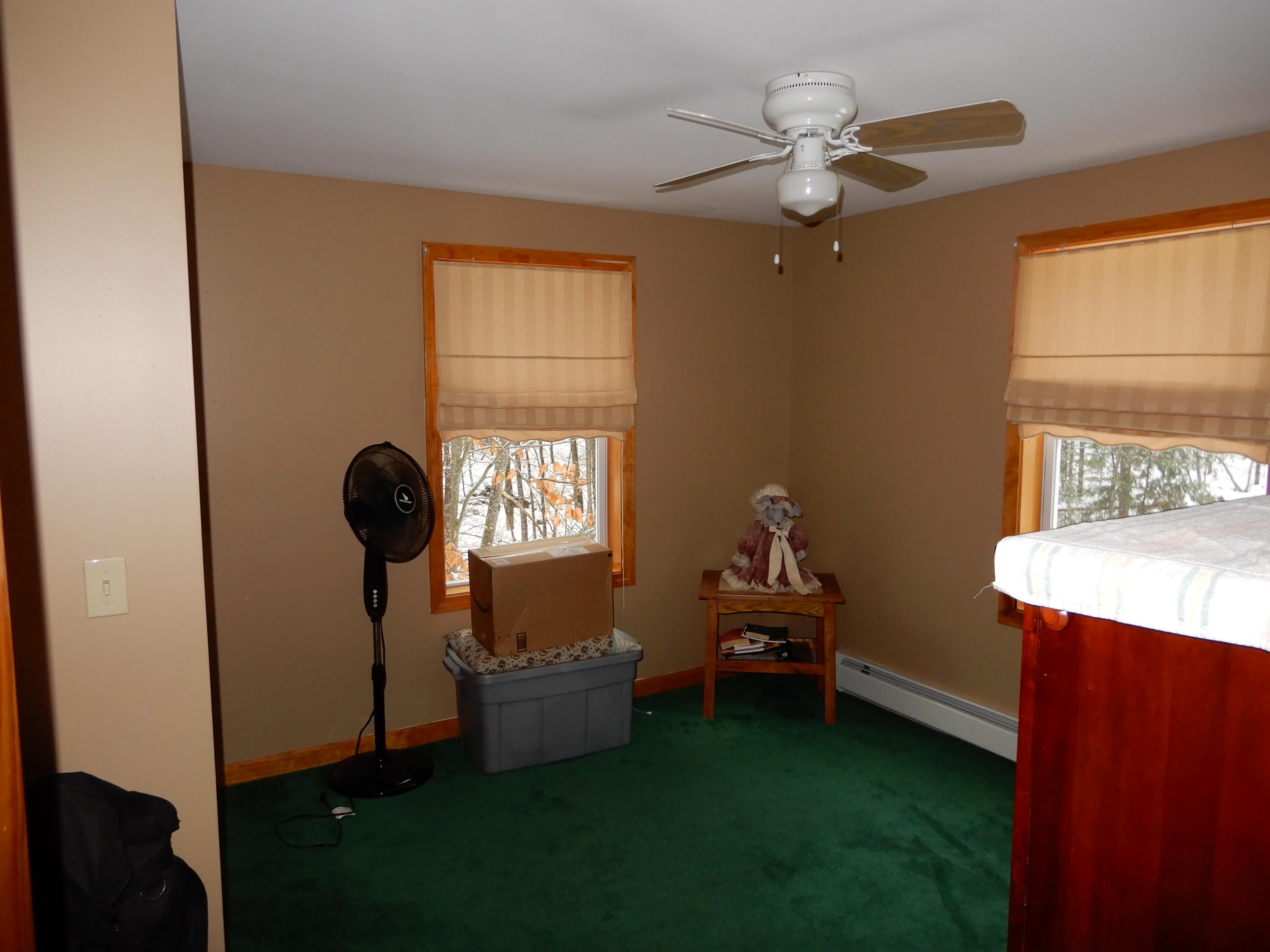 216 River Road Naples, ME 04055 - Photo 17 of 28 DSCN0333