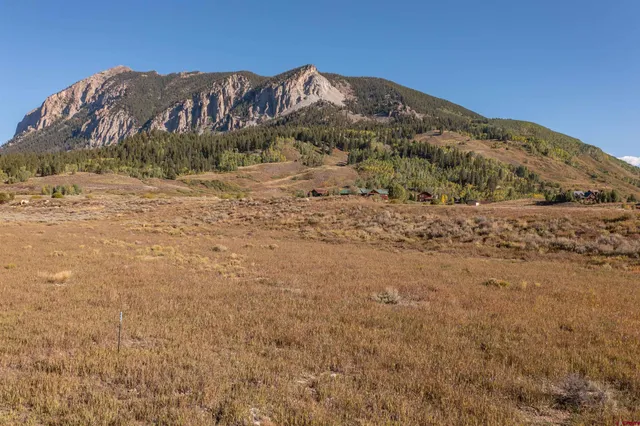 a view of a dry yard with mountains in the background