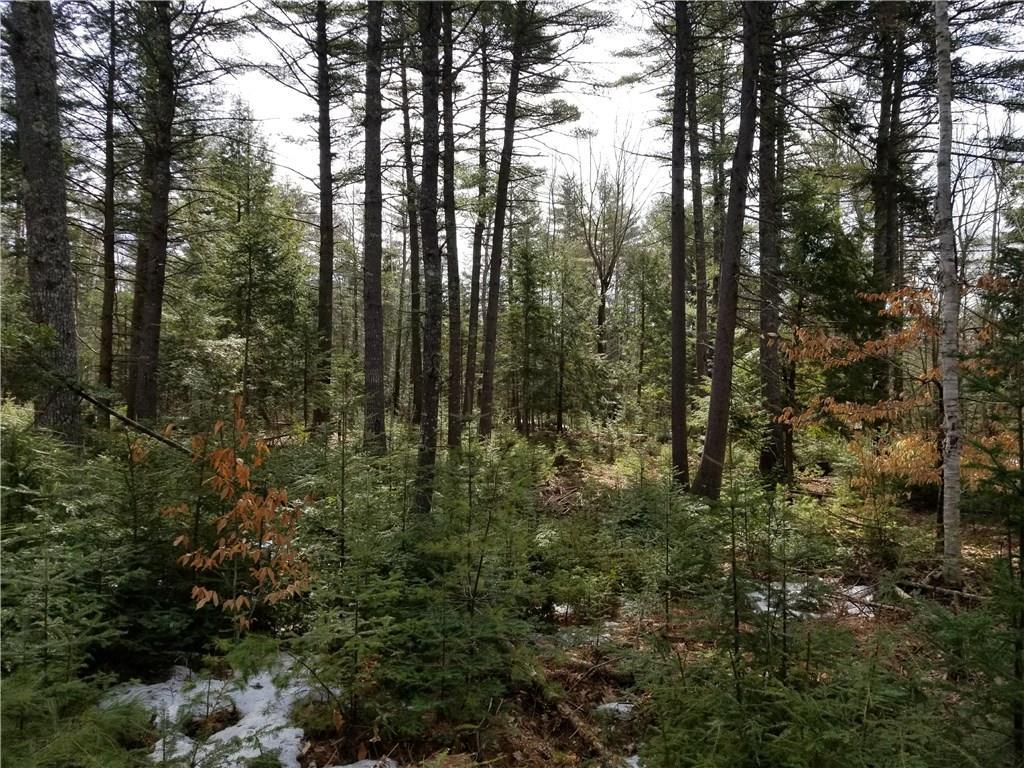 Tbd Tbd Head Tide Hill Road Whitefield, ME 04353 - Photo 10 of 20 Photo