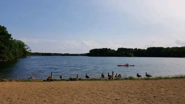 an aerial view of residential houses