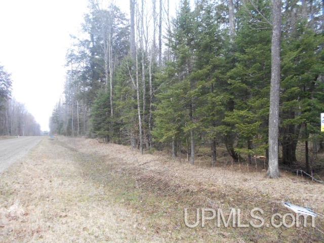 Tbd Cross Cut Road, Unit 9 Florence, WI 54121 - Photo 3 of 4