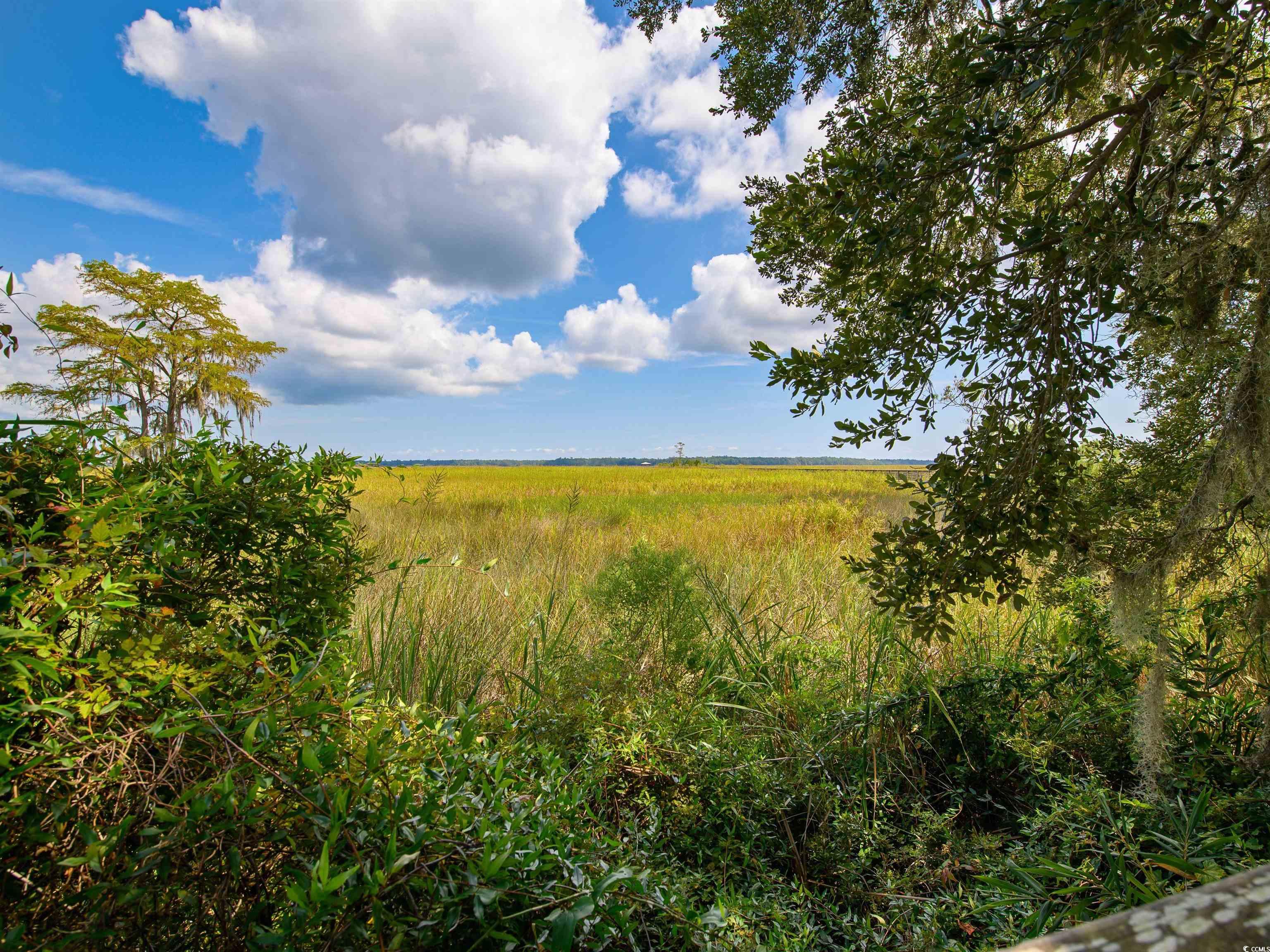 717 Belle Rive Road Georgetown, SC 29440 - Photo 12 of 15