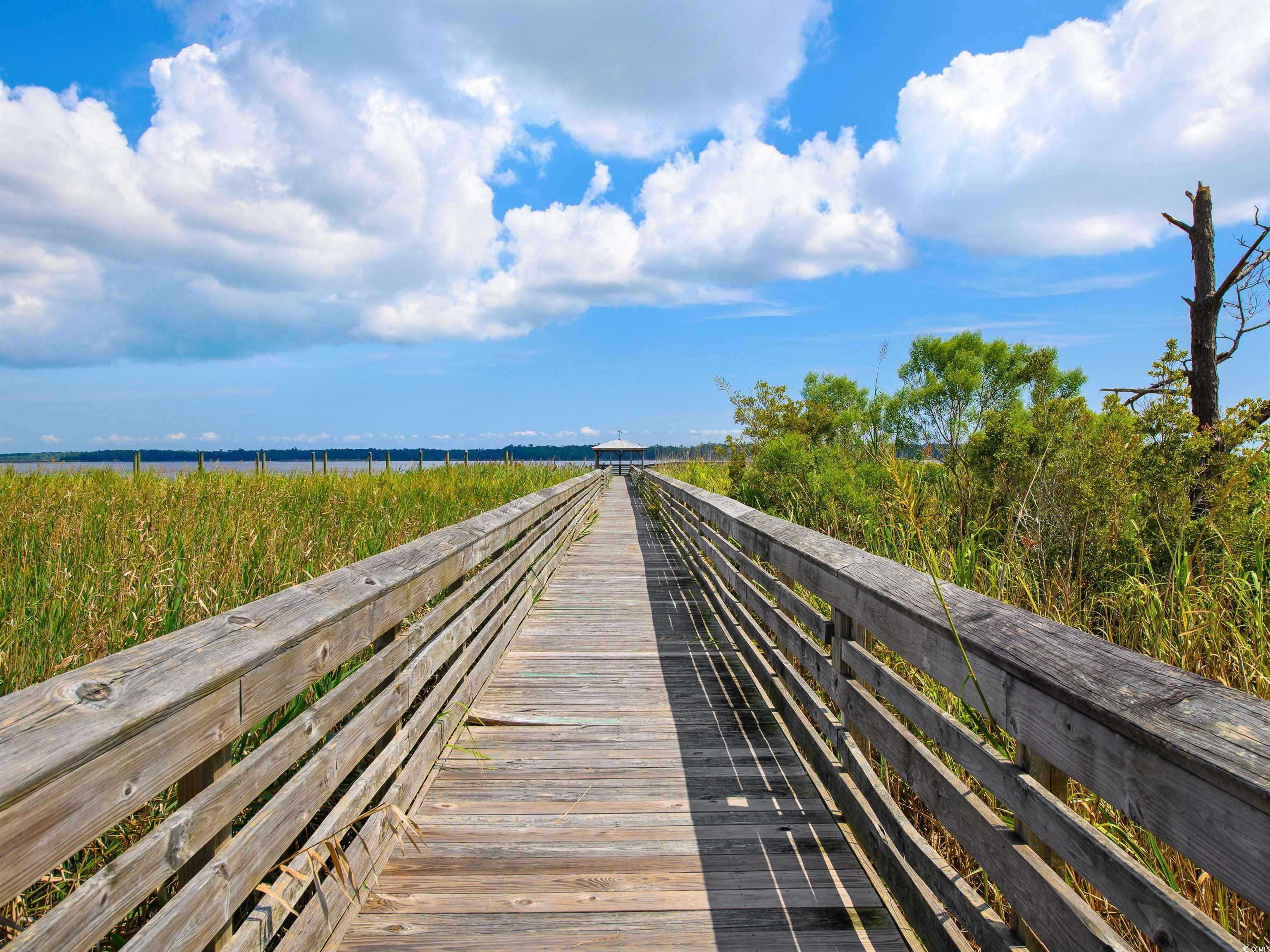 717 Belle Rive Road Georgetown, SC 29440 - Photo 14 of 15