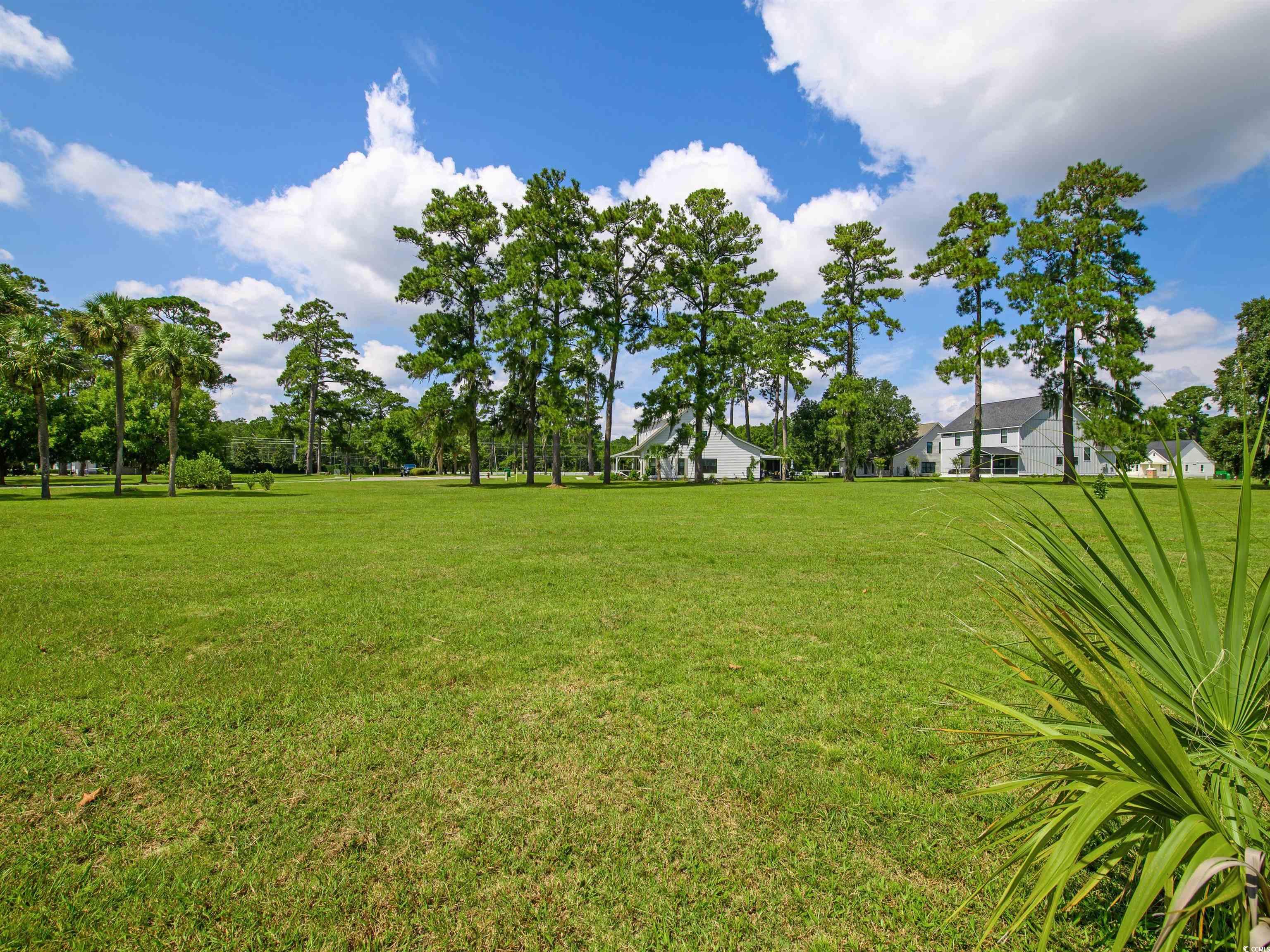 717 Belle Rive Road Georgetown, SC 29440 - Photo 2 of 15