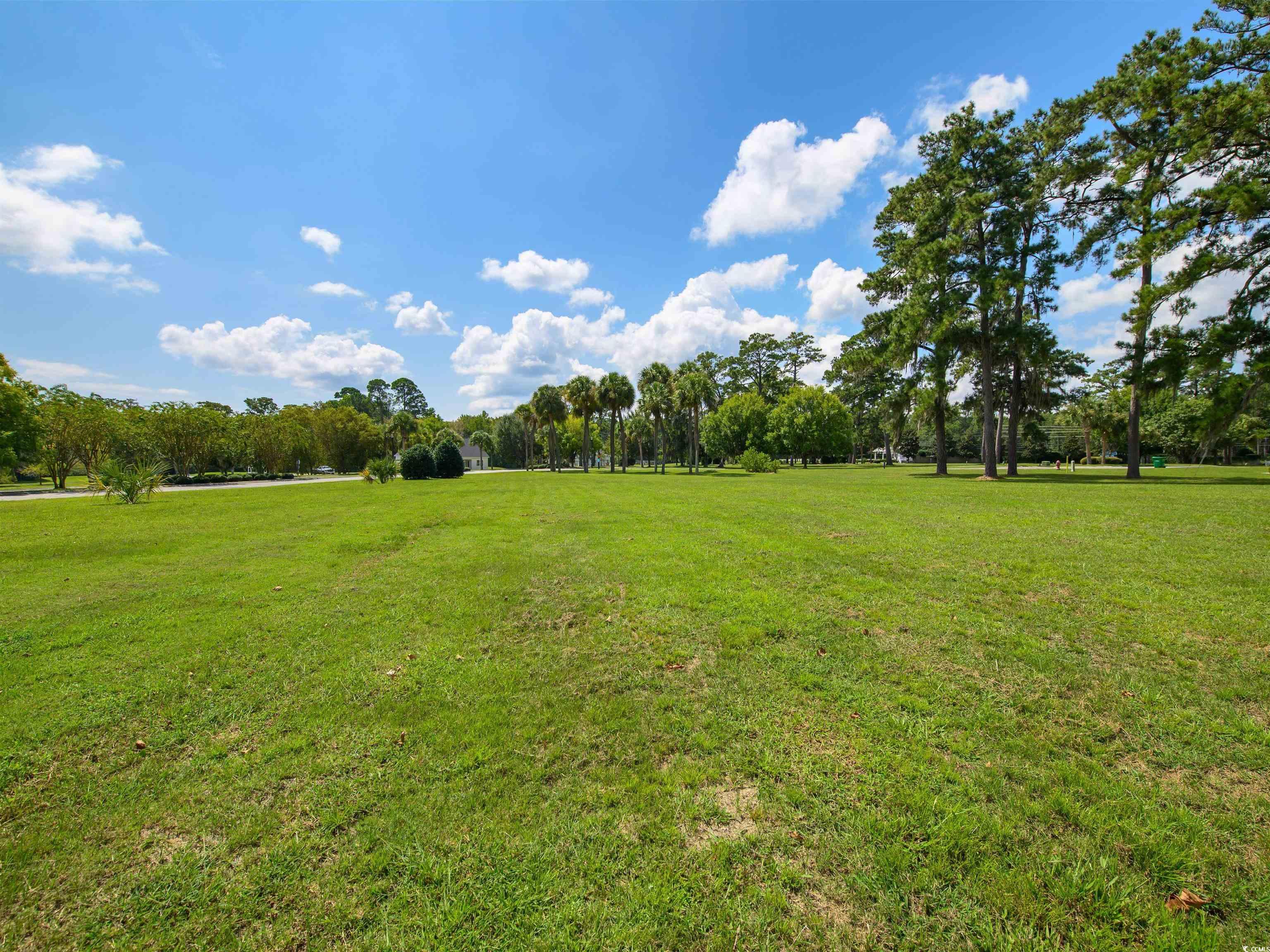 717 Belle Rive Road Georgetown, SC 29440 - Photo 3 of 15
