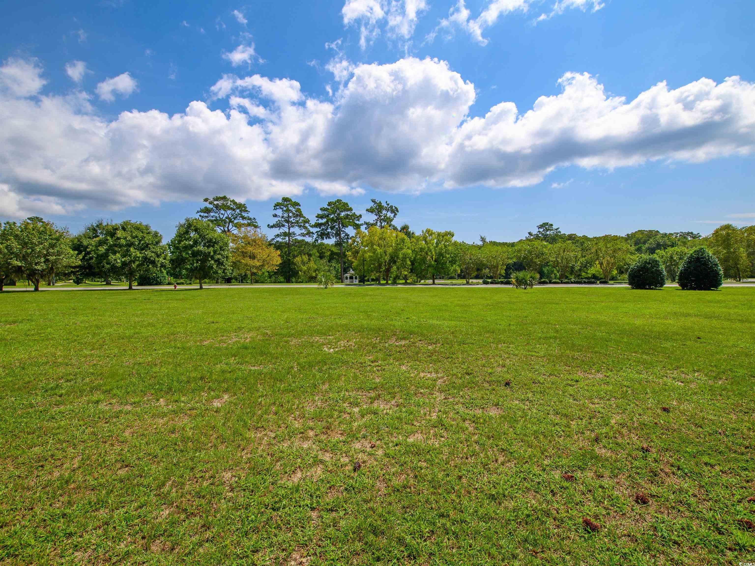 717 Belle Rive Road Georgetown, SC 29440 - Photo 4 of 15