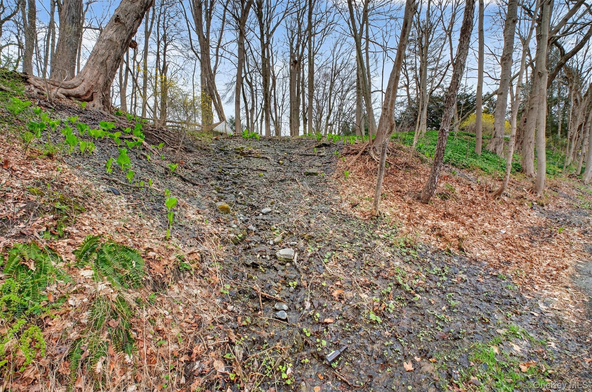 16 Hamilton Road Wappingers Falls, NY 12590 - Photo 24 of 36